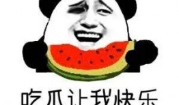娱乐八卦吃瓜图片高清头像
